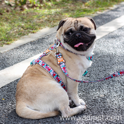 Plaid Pet Traction Harness Set